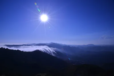 DSC_6168 (Large).JPG